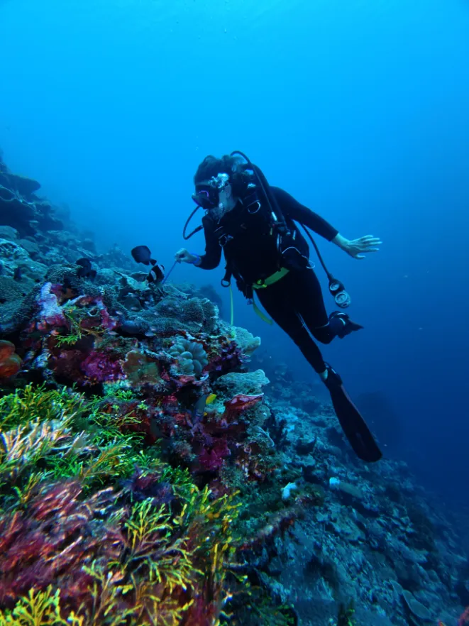Wakatobi Island & Beach Escape