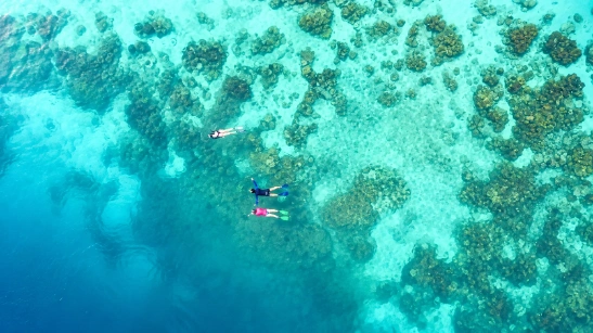 Escape Southeast Sulawesi - Travel and Tour Experiences