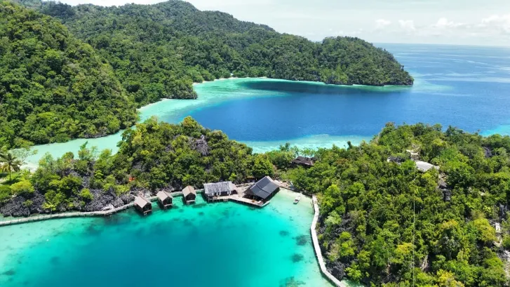 Labengki Lagoon Marine Discovery
