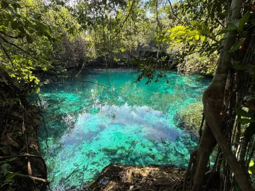 Fotuno Rete Nature Escape
